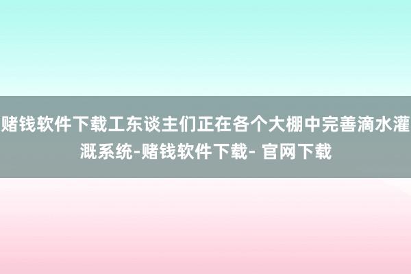 赌钱软件下载工东谈主们正在各个大棚中完善滴水灌溉系统-赌钱软件下载- 官网下载
